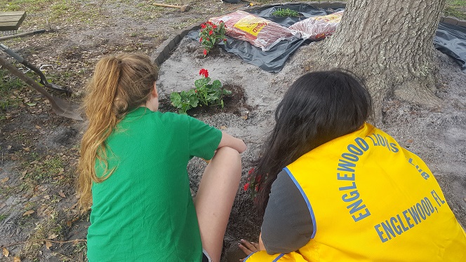 20160110_120439[1] reduced.jpg