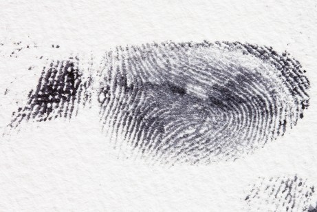 fingerprint-255897 public domain.jpg