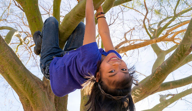 Girl Scout climbing on a tree