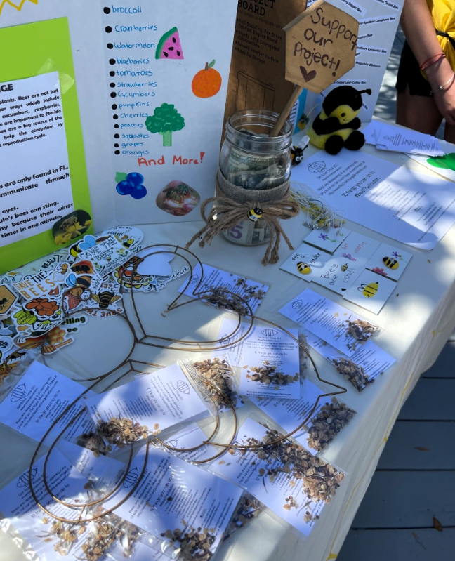 Troop 521 earned the Girl Scout Silver Award/ Girl Scouts of Gulfcoast Florida