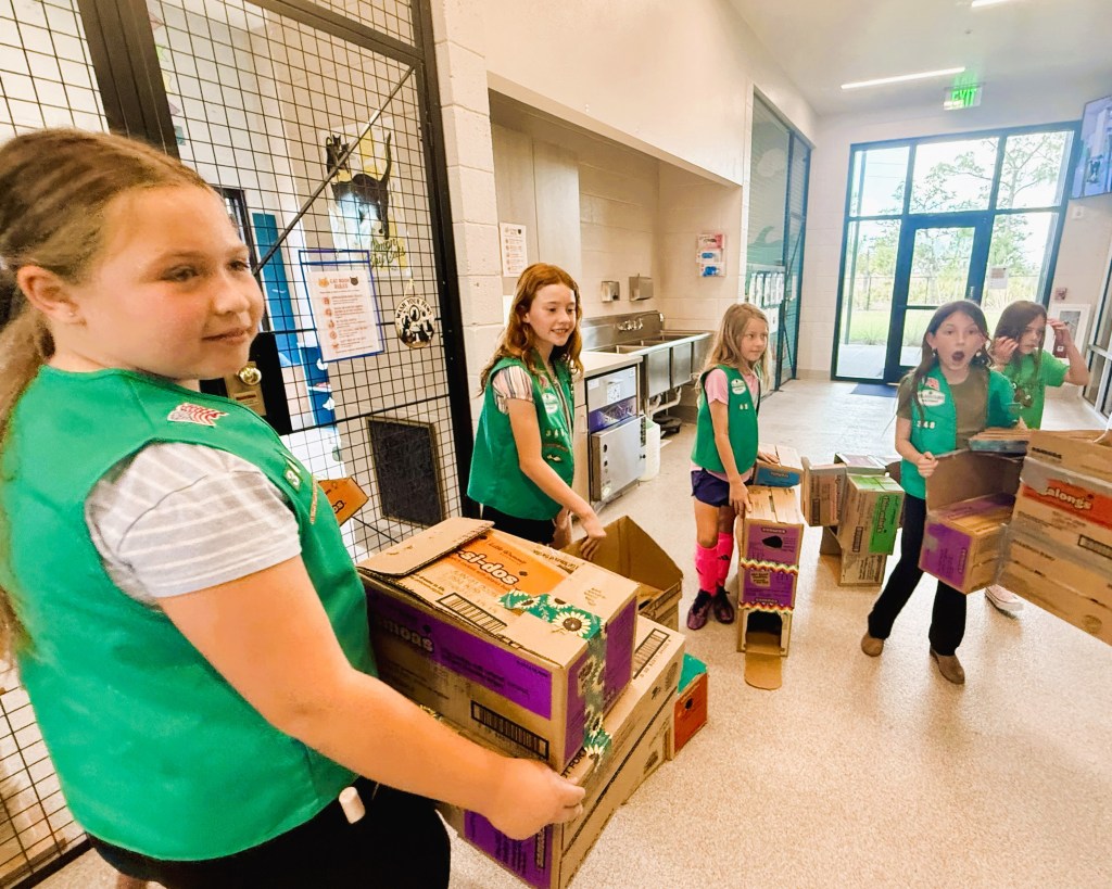 Girl Scouts Rylee P., Reagan P., June T., Kiera G., and Avalynn R. of Girl Scouts of Gulfcoast Florida earned the Girl Scout Bronze Award by recycling Girl Scout Cookie boxes to build cat scratchers and hideout towers that enrich the lives of shelter cats awaiting adoption.