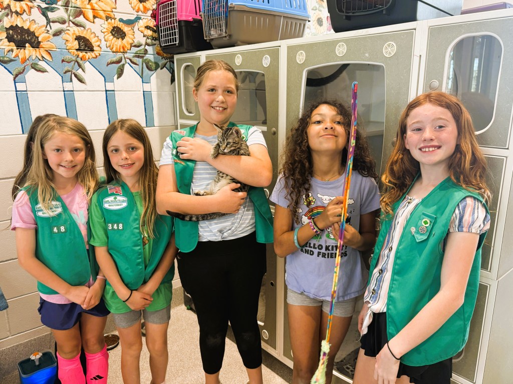 Girl Scouts Rylee P., Reagan P., June T., Kiera G., and Avalynn R. of Girl Scouts of Gulfcoast Florida earned the Girl Scout Bronze Award by recycling Girl Scout Cookie boxes to build cat scratchers and hideout towers that enrich the lives of shelter cats awaiting adoption.Girl Scouts Rylee P., Reagan P., June T., Kiera G., and Avalynn R. of Girl Scouts of Gulfcoast Florida earned the Girl Scout Bronze Award by recycling Girl Scout Cookie boxes to build cat scratchers and hideout towers that enrich the lives of shelter cats awaiting adoption.