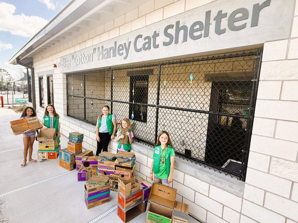 Girl Scouts Rylee P., Reagan P., June T., Kiera G., and Avalynn R. of Girl Scouts of Gulfcoast Florida earned the Girl Scout Bronze Award by recycling Girl Scout Cookie boxes to build cat scratchers and hideout towers that enrich the lives of shelter cats awaiting adoption.