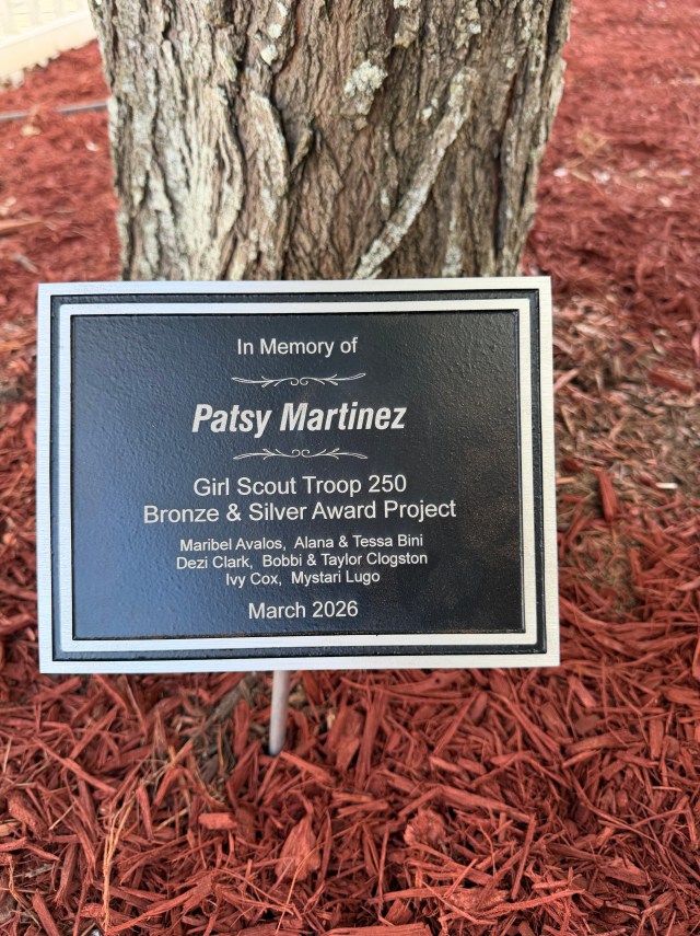 A team of Girl Scouts from Girl Scouts of Gulfcoast Florida Troop 250 has transformed an unused area at their elementary school, Cracker Trail Elementary, into a colorful outdoor learning space as part of their Girl Scout Bronze Award project.

The group—Tessa B., Bobbi C., Ivy C., Mystari L., and Maribel A.—spent several months planning and building the space. Designed as a brain break and outdoor classroom, the new area gives students and teachers a place to step outside, learn, and recharge during the school day.